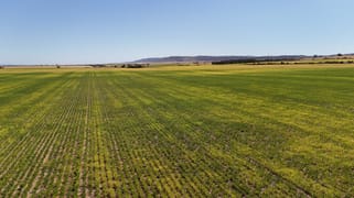 Allotment 78 Augusta Highway Crystal Brook SA 5523