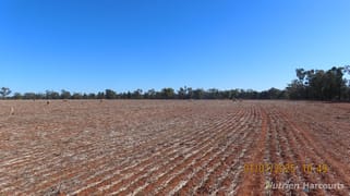* KALLARA, 881 Kallara Road Hermidale NSW 2831