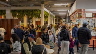 Camberwell VIC 3124