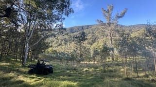 61/1118 Neringla Road Braidwood NSW 2622 61/1118 Neringla Road Braidwood NSW 2622