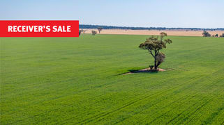 1040 Merribee Road Binya NSW 2665