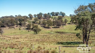 11, - Ten Mile Rd Deepwater NSW 2371