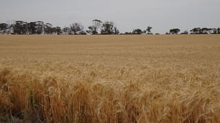 1799 Nambadalling Road Corrigin WA 6375