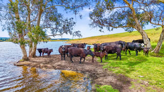 700 Cleland Gully Road Tooperang SA 5255 700 Cleland Gully Road Tooperang SA 5255