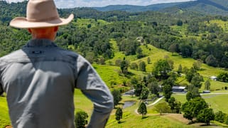 Mount Delaney QLD 4514