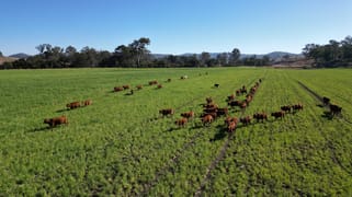 243 Oakfield Road Tansey QLD 4601