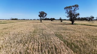 7172 Murray Valley Highway Cullen VIC 3568