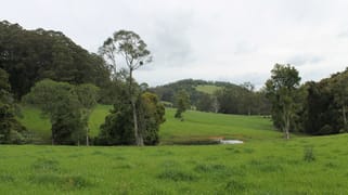 1644 Coramba Road Megan NSW 2453