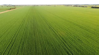 Wirrinya NSW 2871