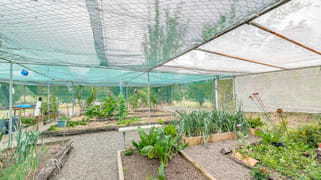 55 Chavasse Drive Wonbah QLD 4671