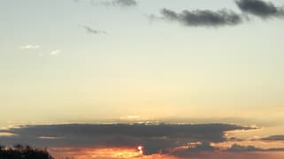 Elanora QLD 4221