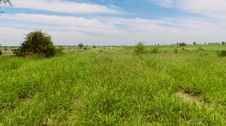 Surat QLD 4417