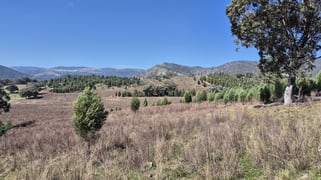46 Worlds End Rd Yarrabin NSW 2850