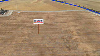 Lot 318 & 319 Ferguson Rd Weetulta SA 5573