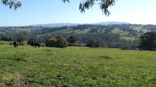 35 Lakala Road Seville VIC 3139