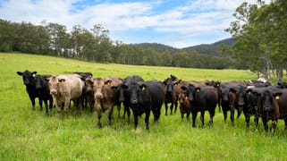 103 Gap Hill Road Stroud NSW 2425