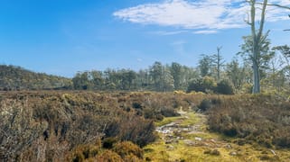 331L Arthurs Lake Road Arthurs Lake TAS 7030 331L Arthurs Lake Road Arthurs Lake TAS 7030