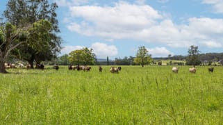 639E coolangatta road Berry NSW 2535