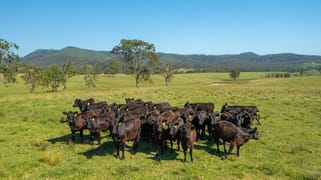 785 Toms Creek Road Ellenborough NSW 2446