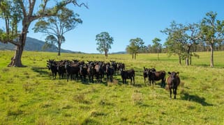 785 Toms Creek Road Ellenborough NSW 2446 785 Toms Creek Road Ellenborough NSW 2446