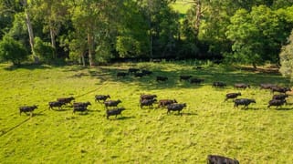 785 Toms Creek Road Ellenborough NSW 2446