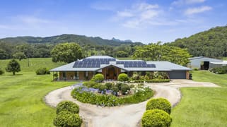 981 Numinbah Road Crystal Creek NSW 2484
