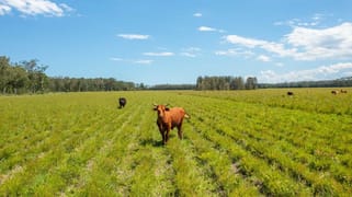 1205 Maria River Road Limeburners Creek NSW 2444