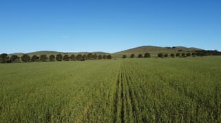 85 McCallum Road Pekina SA 5431