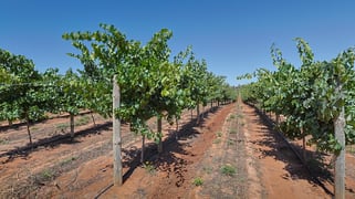 Lot 2 Buloke Street Red Cliffs VIC 3496