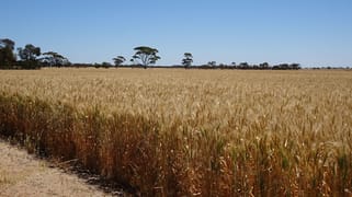 Williams Kondinin Road Kondinin WA 6367