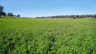 9228 Mitchell Highway Wellington NSW 2820