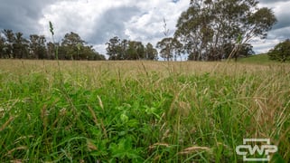 1, - Watsons Road Pinkett NSW 2370