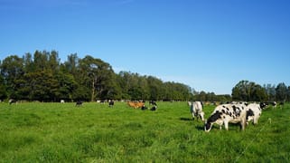 282 Newtons Road Dumaresq Island NSW 2430