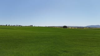 'Ryans' Archie Road Murray Town SA 5481