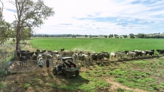 3408 Warrumbungle Way Binnaway NSW 2395