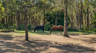 2 Warner Avenue Tuggerawong NSW 2259