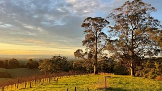 504 Warragul-Leongatha Road Seaview VIC 3821