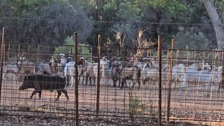 582 Endeavor Mine Rd Cobar NSW 2835