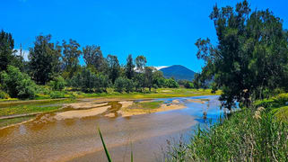 1229 Bylong Valley Way Baerami NSW 2333