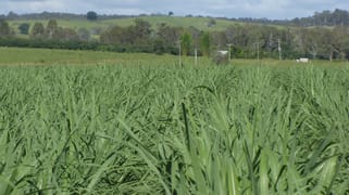 Skyring Reserve QLD 4671