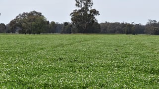 2071 Yarrabandai Road Bedgerabong NSW 2871