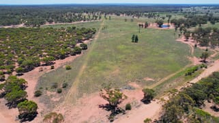 "Mottlecah" 1017 Wilga Ridge Road Fifield NSW 2875
