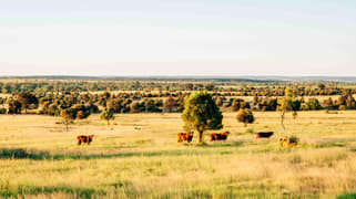 Waikola QLD 4420 Waikola QLD 4420