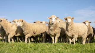 25714 Princes Highway Millicent SA 5280