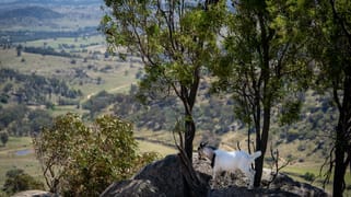 'Nirvana' 19 Springvale Road Wyangala NSW 2808