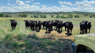 325 Toorawandi Road Ulamambri NSW 2357