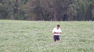 325 Toorawandi Road Ulamambri NSW 2357