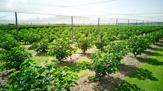 211 Sandy Creek Road Grantham QLD 4347