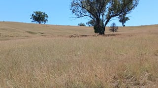 Delungra NSW 2403