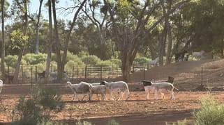 1 Ben Lomond Road Gunderbooka NSW 2840